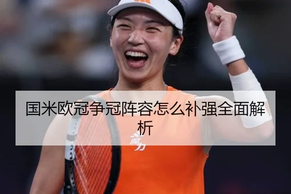 国米欧冠争冠阵容怎么补强全面解析